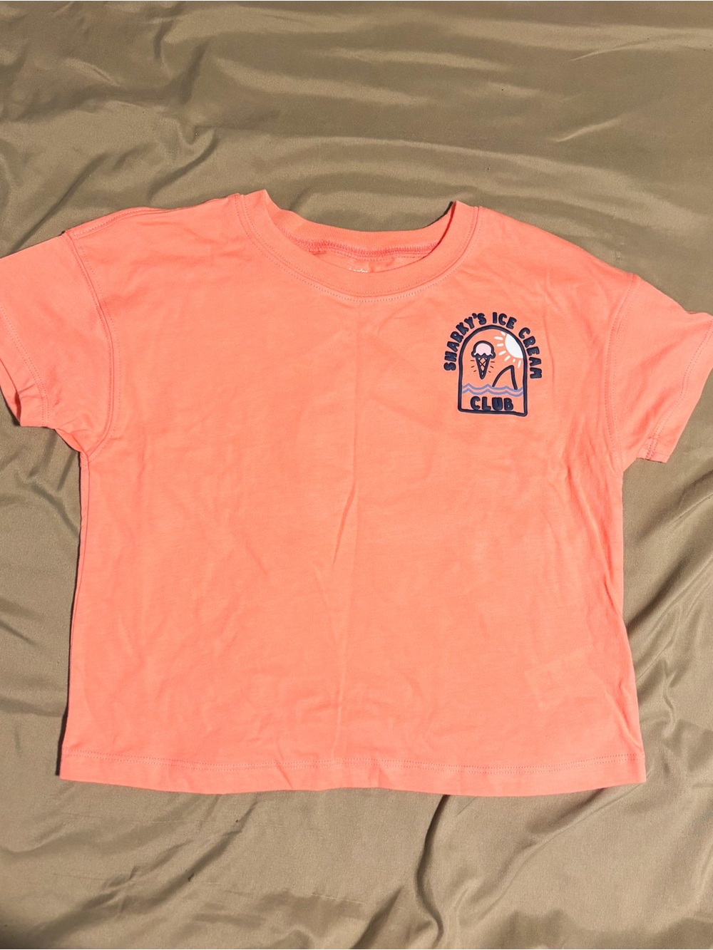 5 Pack of 5T Boys Shirts - Carters, Disney and Children’s Place - Picture 11 of 16